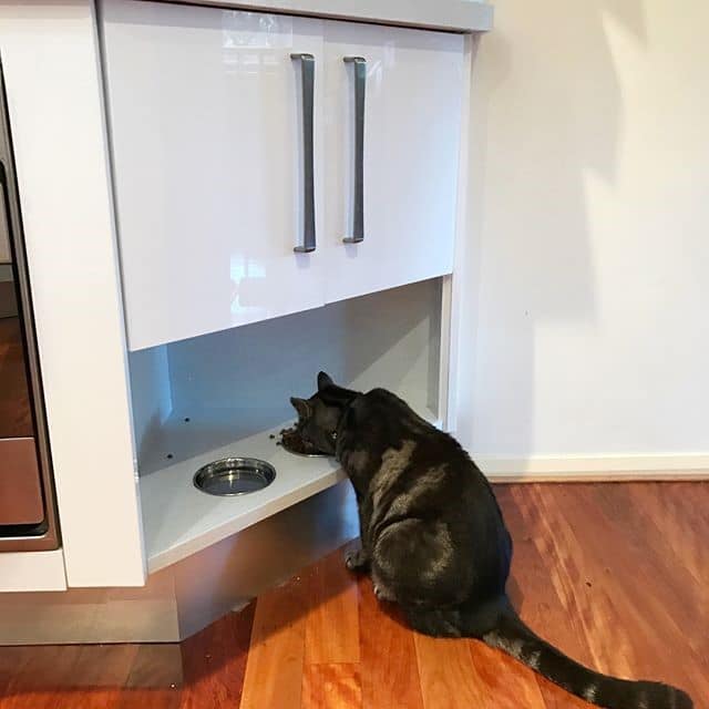 Inbuilt Pet feeding station Granite Transformation Sydney Kitchen