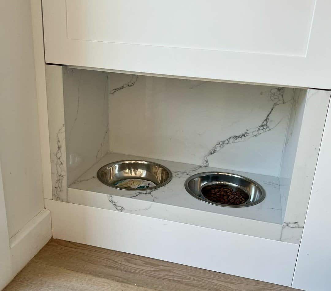 Pet Feeding Station